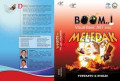 Boom Visual Basic .NET 2010 Meledak