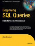 Beginning SQL Queries : From Novice to Professional